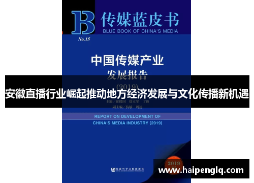 安徽直播行业崛起推动地方经济发展与文化传播新机遇